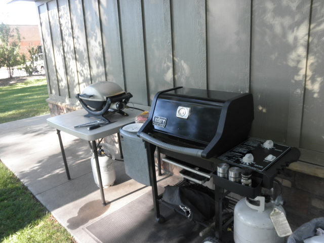 Field Day - June 2013 — photograph 10