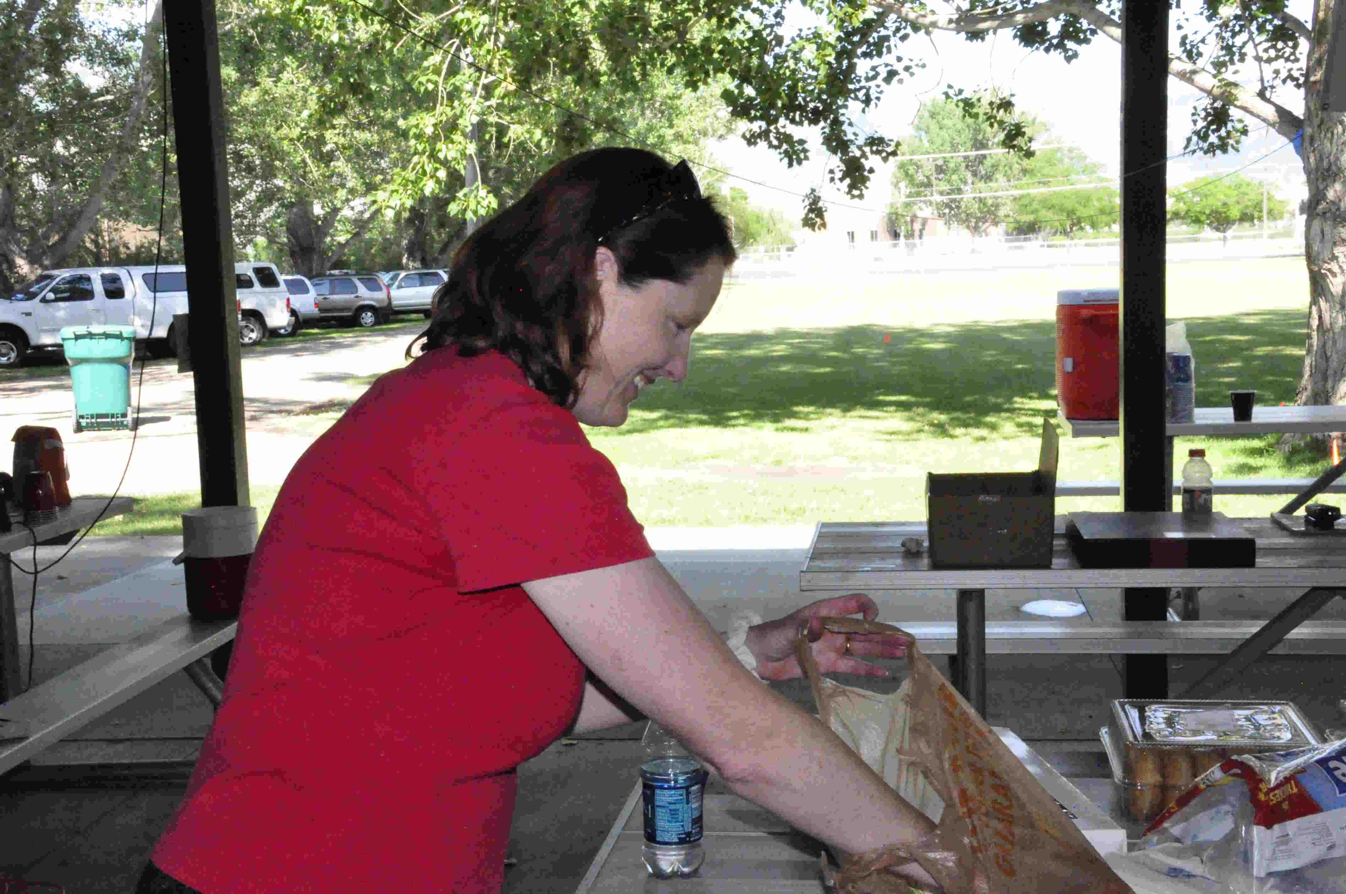 Field Day - June 2015 — photograph 27