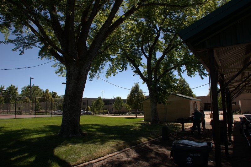 Field Day - June 2016 — photograph 6
