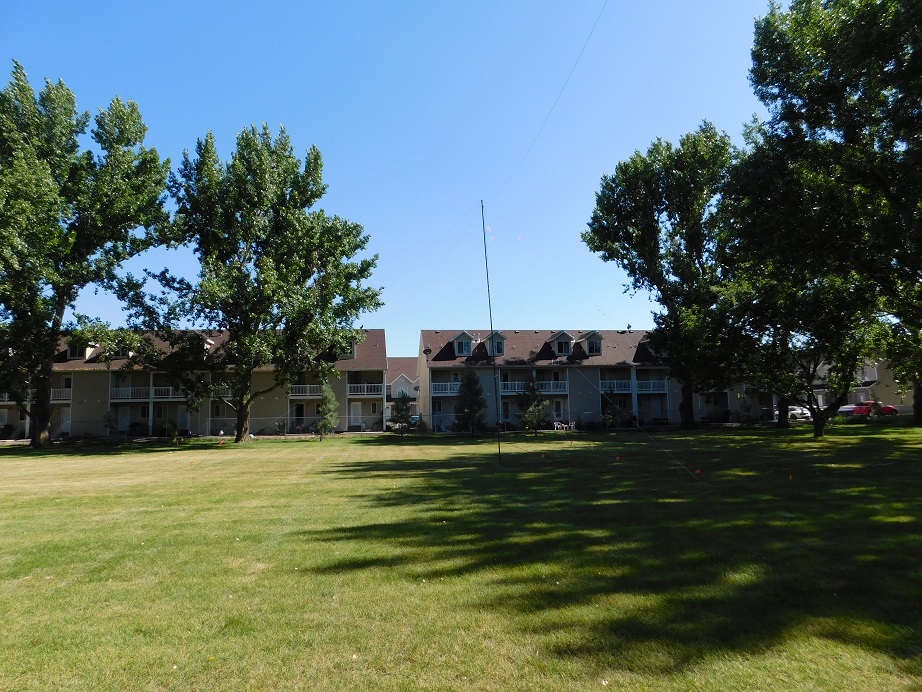 Field Day - June 2018 — photograph 3