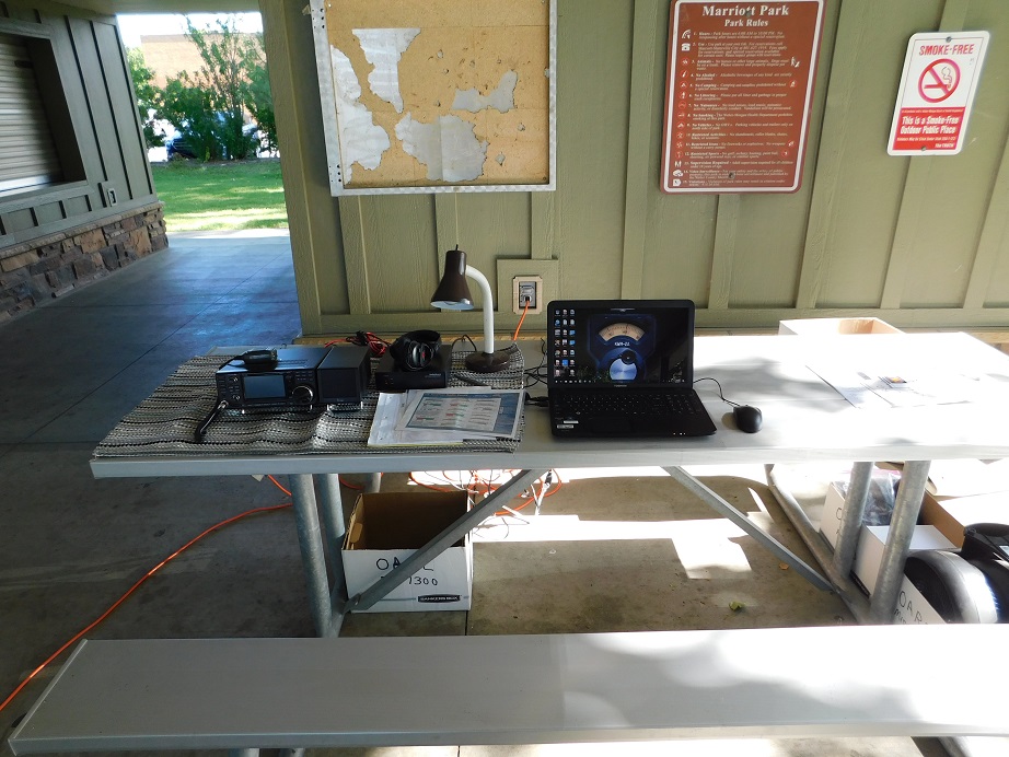 Field Day - June 2019 — photograph 5