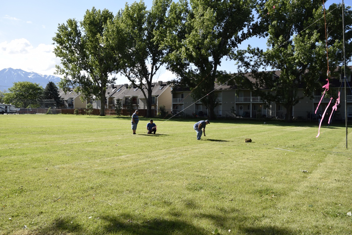 Field Day - June 2019 — photograph 15