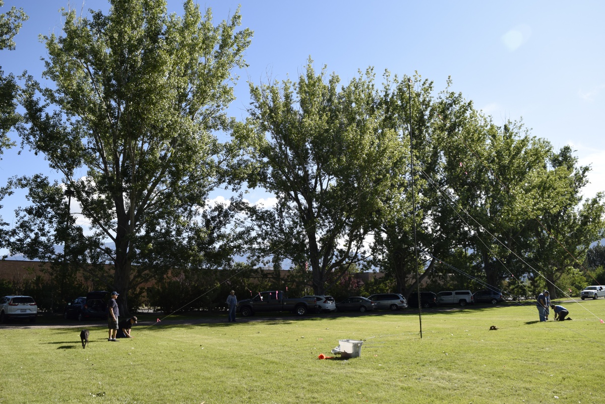Field Day - June 2019 — photograph 18