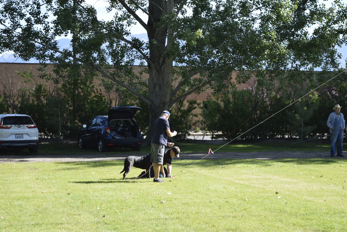 Field Day - June 2019 — photograph 19