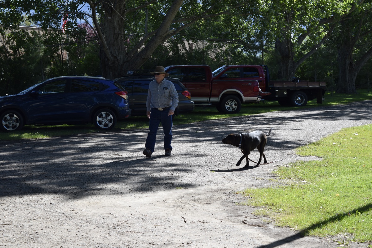 Field Day - June 2019 — photograph 41