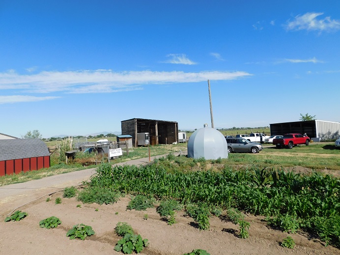 Field Day - June 2020 — photograph 4