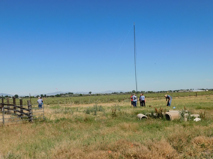 Field Day - June 2020 — photograph 10