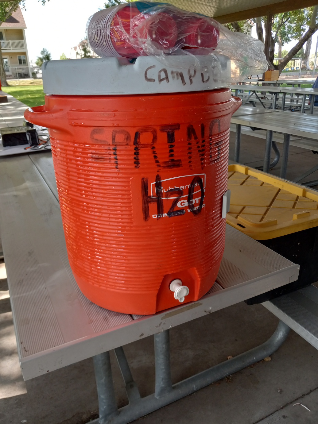 Field Day - June 2024 — photograph 2