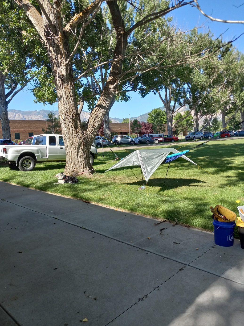 Field Day - June 2024 — photograph 32