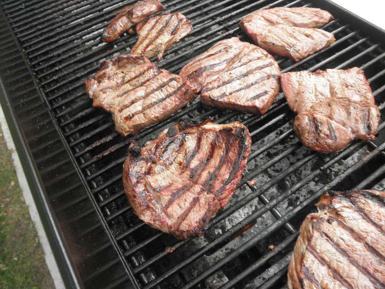Steak Fry - August 2015 — photograph 5