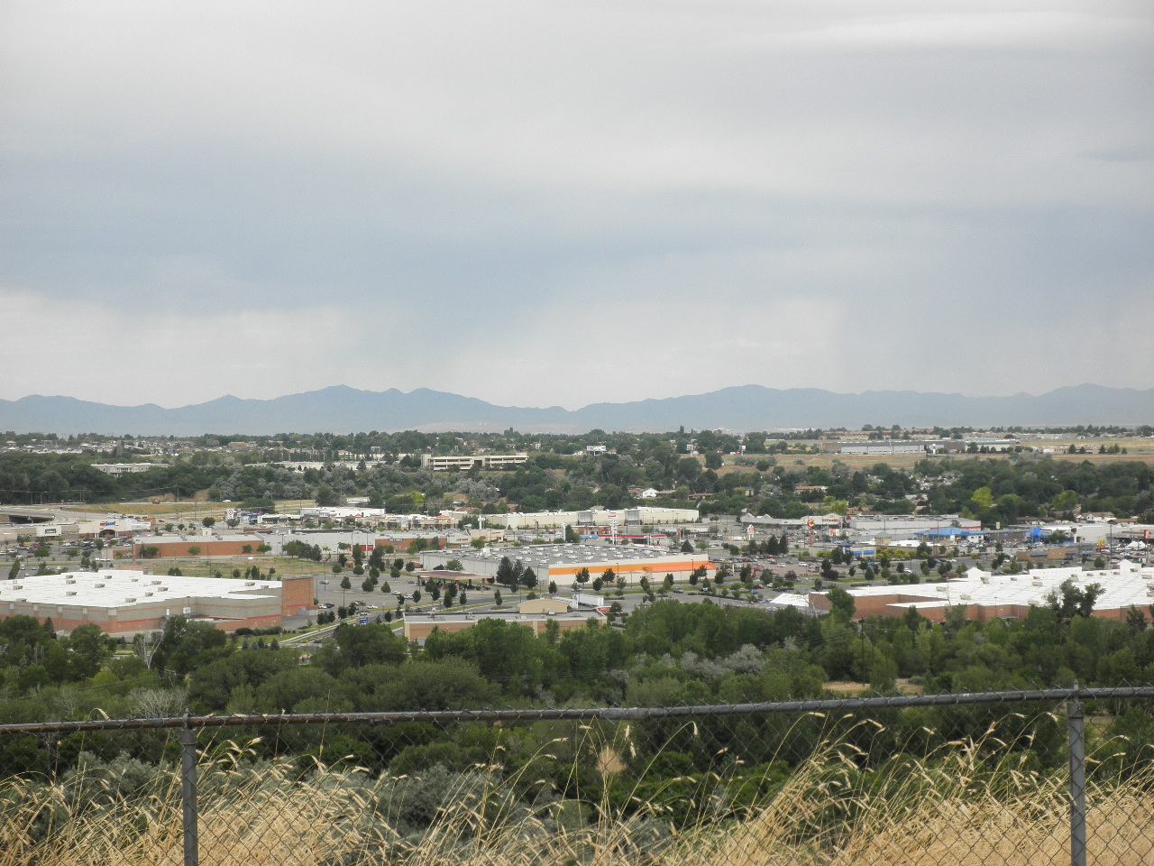 "T"-Hunt - July 2010 — photograph 20