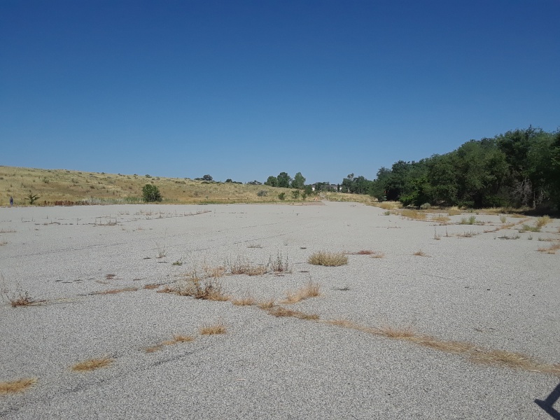 "T"-Hunt - July 2020 — photograph 5