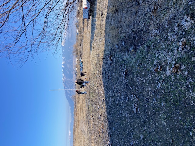 Winter Field Day - January 202 6 — photograph 7