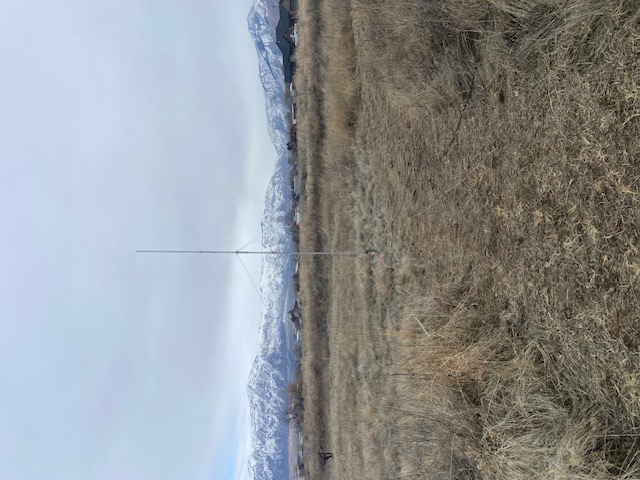 Winter Field Day - January 2025 — photograph 25