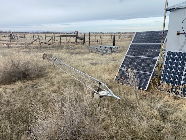 Winter Field Day - January 2025 — photograph 42